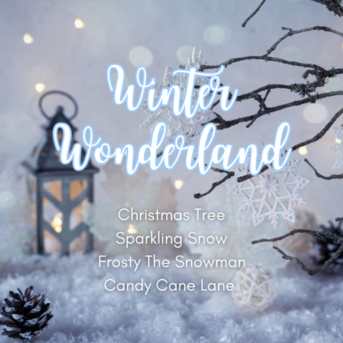 Winter Wonderland Box Set